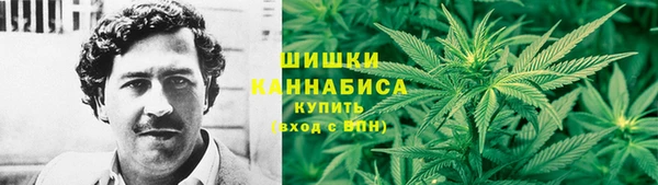 прущие грибы Абдулино