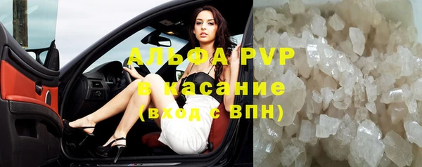 твердый Абаза