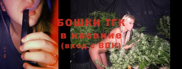 твердый Абаза