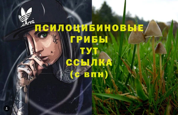 ALPHA-PVP Абинск