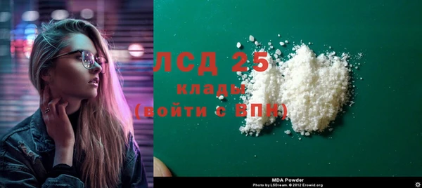 прущие грибы Абдулино