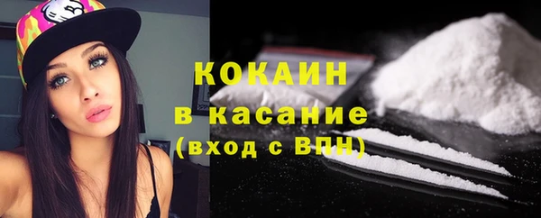 твердый Абаза