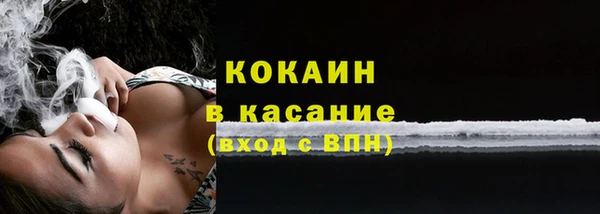 твердый Абаза