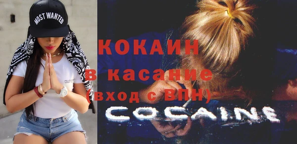 твердый Абаза