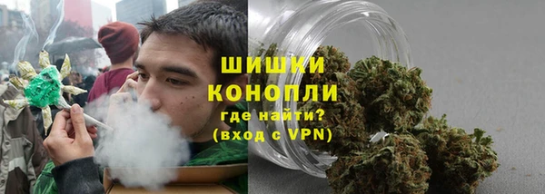 прущие грибы Абдулино